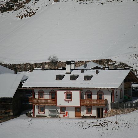 Agriturismo Maso Larciunei セルヴァ・ディ・ヴァル・ガルデーナ エクステリア 写真