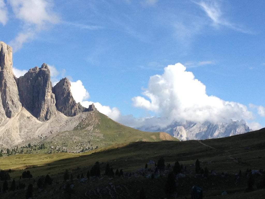 Agriturismo Maso Larciunei セルヴァ・ディ・ヴァル・ガルデーナ エクステリア 写真