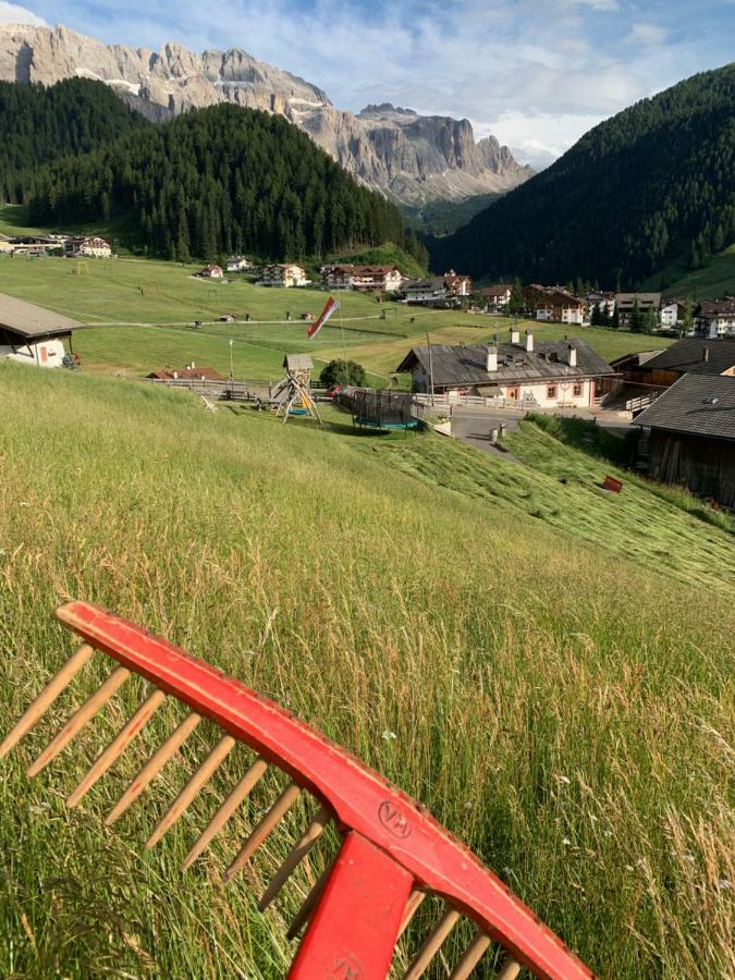 Agriturismo Maso Larciunei セルヴァ・ディ・ヴァル・ガルデーナ エクステリア 写真